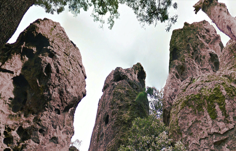 Stacks Image 700