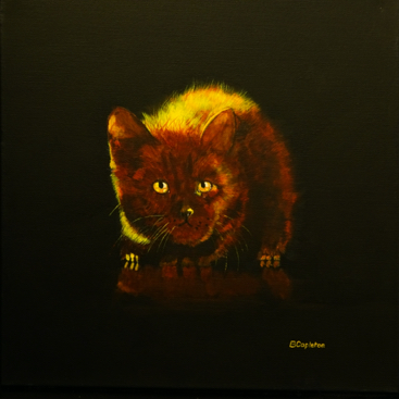 Cat in Yellow Light